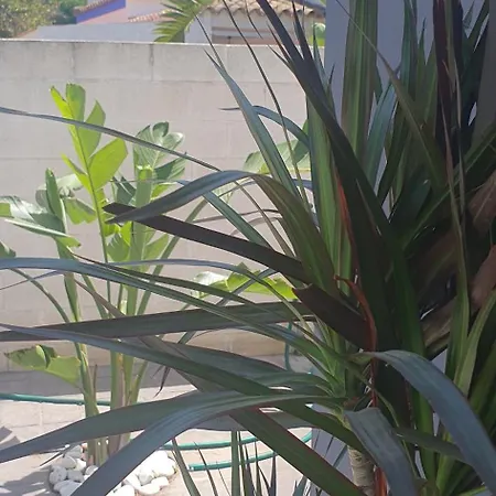 Cristal Holiday home Chiclana de la Frontera